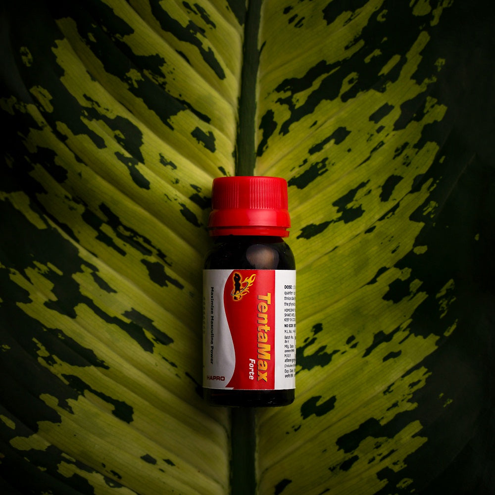 Hapro Tentamax Forte : Maximize Masculine Power
